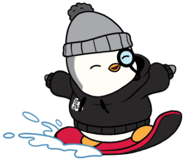 Skier
